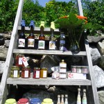 Leiter alle Produkte
