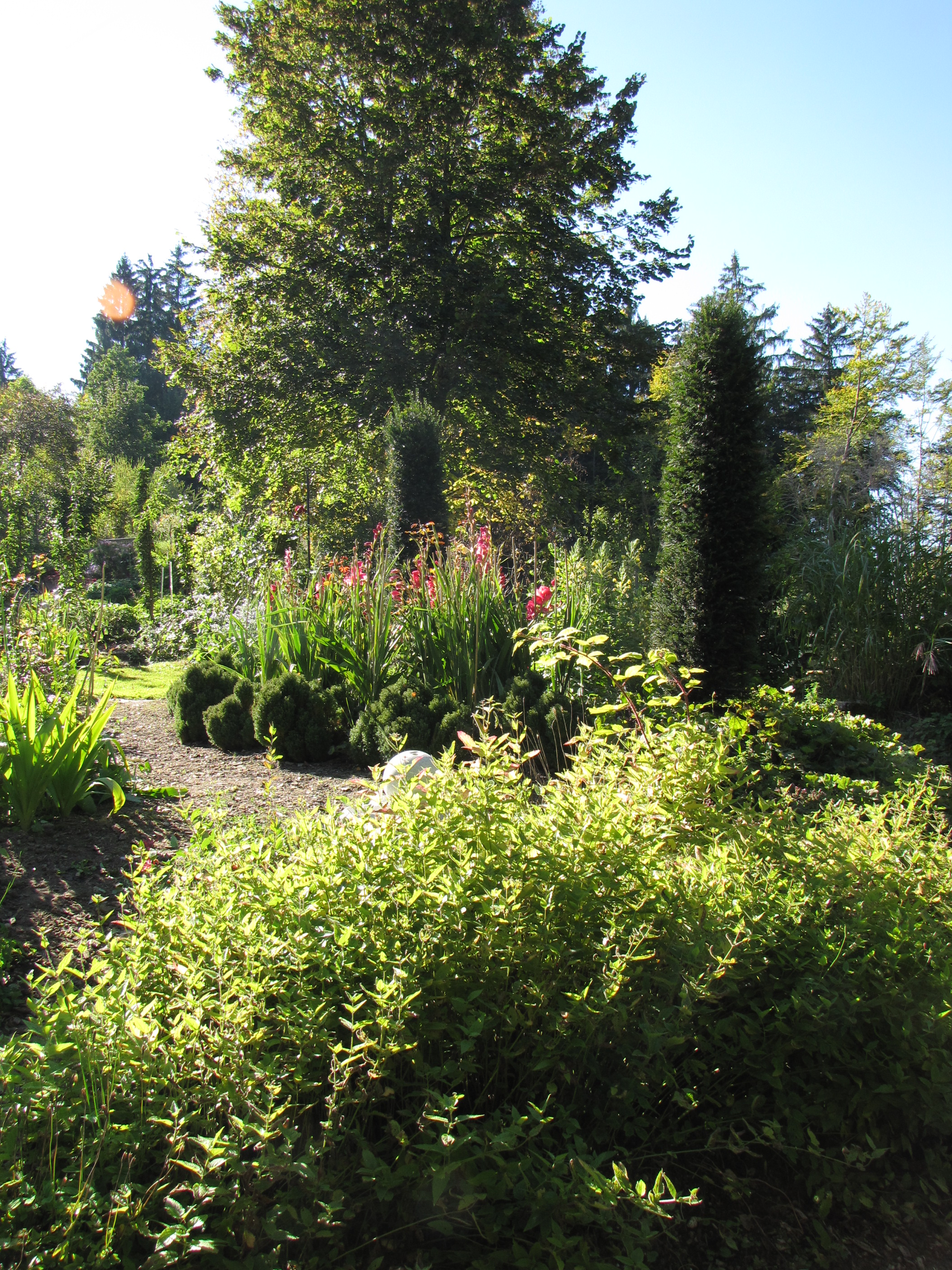 Paradiesgarten Galerie Paradiesgarten Maag
