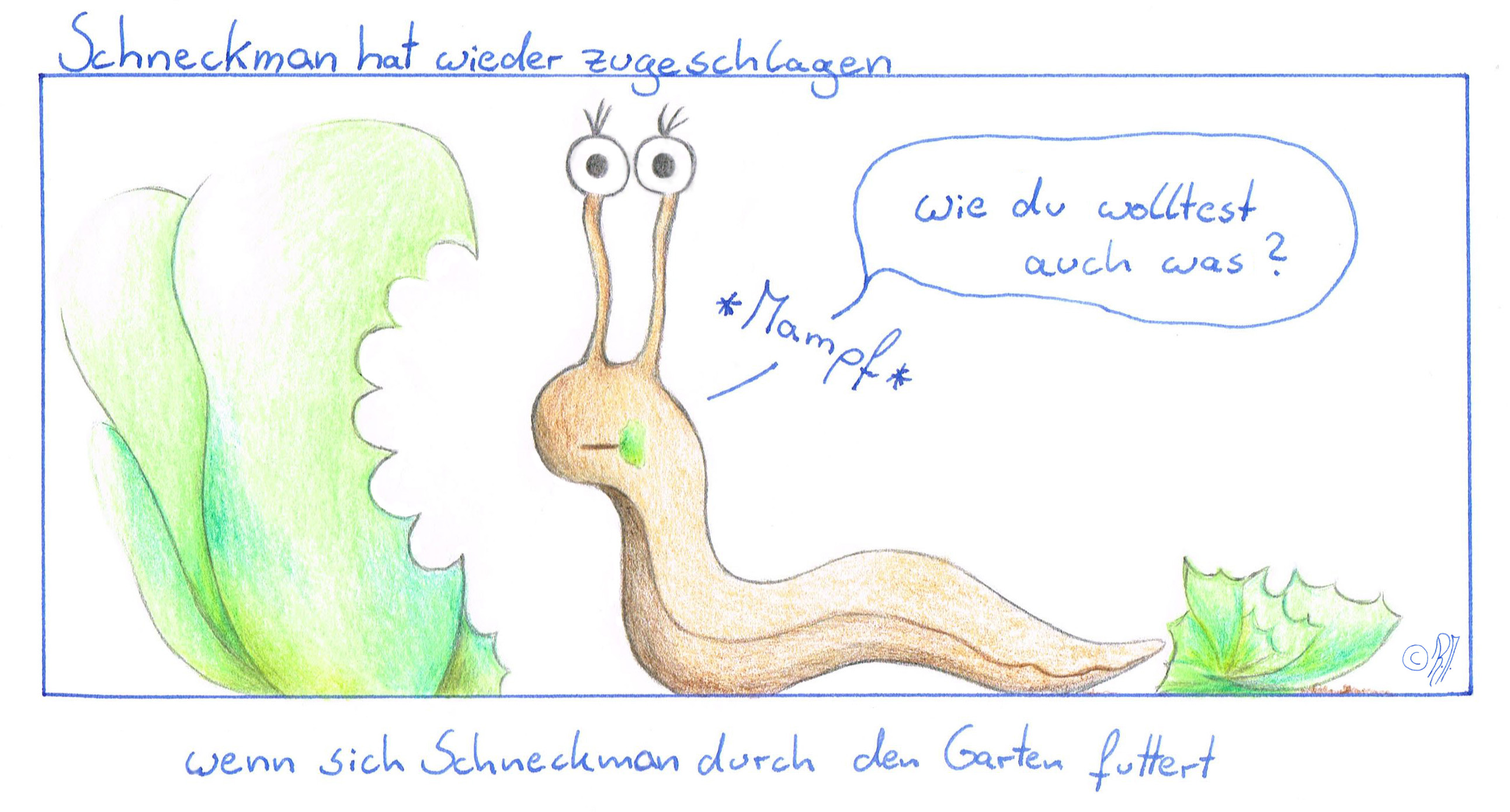 Was mache ich gegen Nacktschnecken? Paradiesgarten Maag