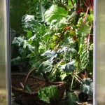 Gartenkurse