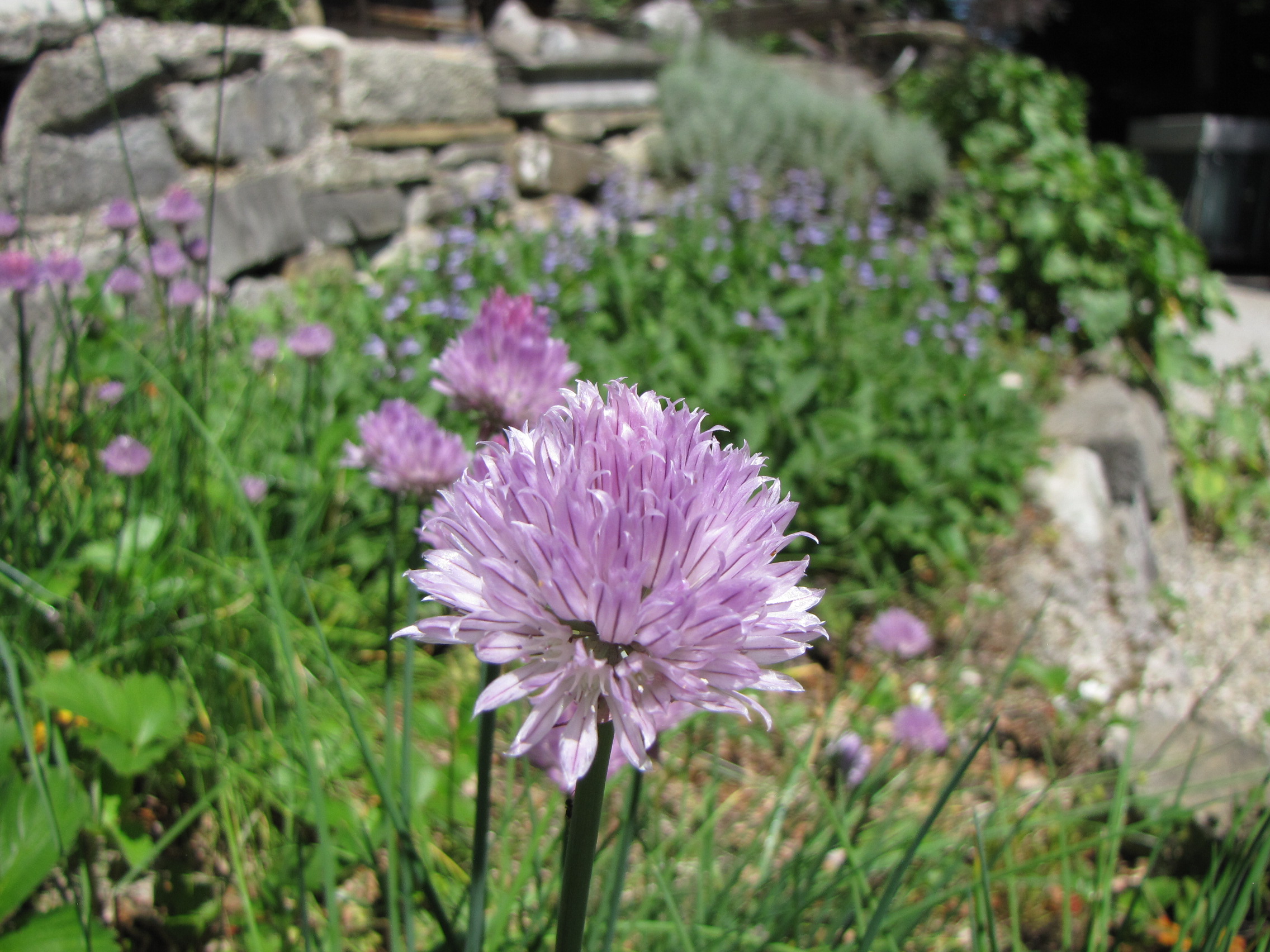 Projektbeispiele – Paradiesgarten Maag