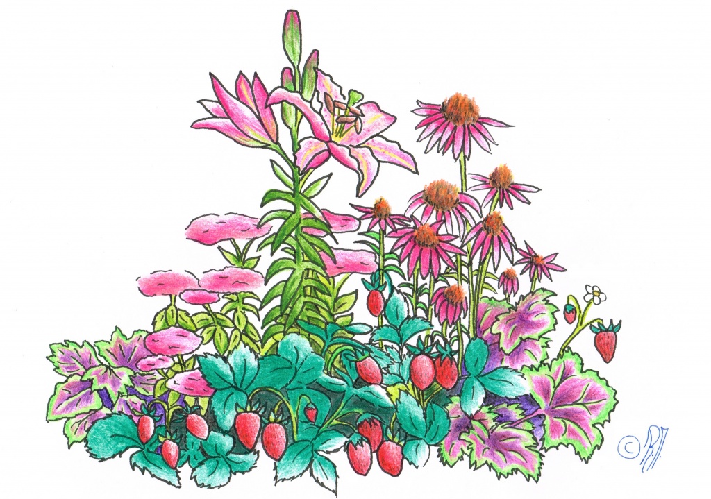 Illustrationen von Rebekka Maag